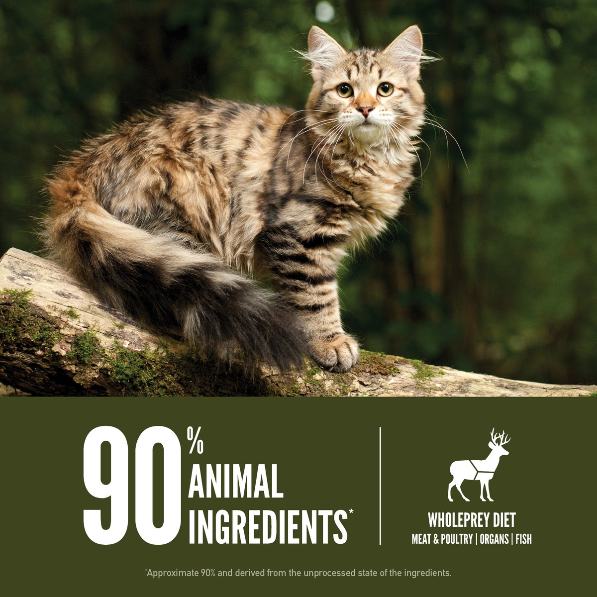 12lb / 5.4kg Orijen Tundra® Grain Free Dry Cat Food | 760-PICWHY