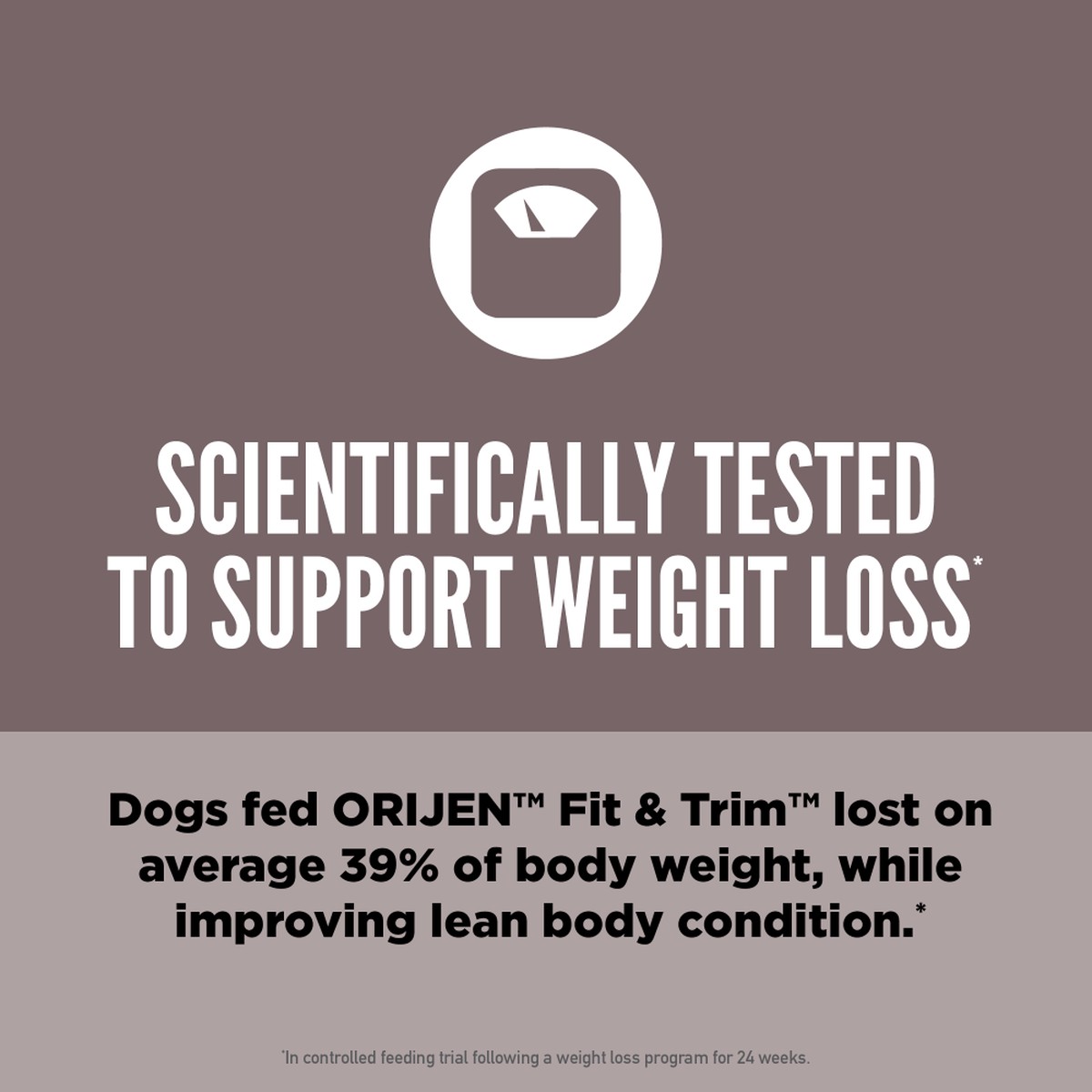 13lb / 6kg Orijen Fit & Trim™ Grain Free Dry Dog Food | 987-DMKWRT