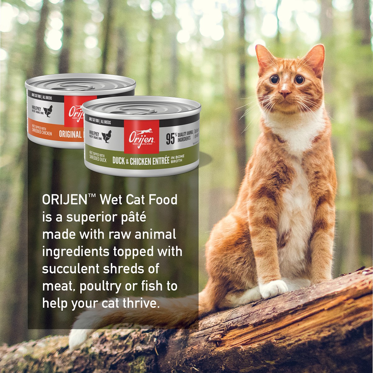 3oz*12 / 85g*12 Orijen Wet Cat Food Pâté, Variety Pack Grain Free Wet Cat Food | 436-TZJIPG