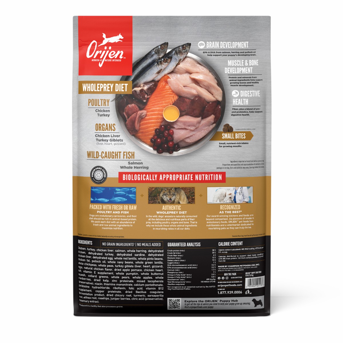 4.5lb / 2kg Orijen Puppy Grain Free Dry Dog Food | 431-ELYPAZ