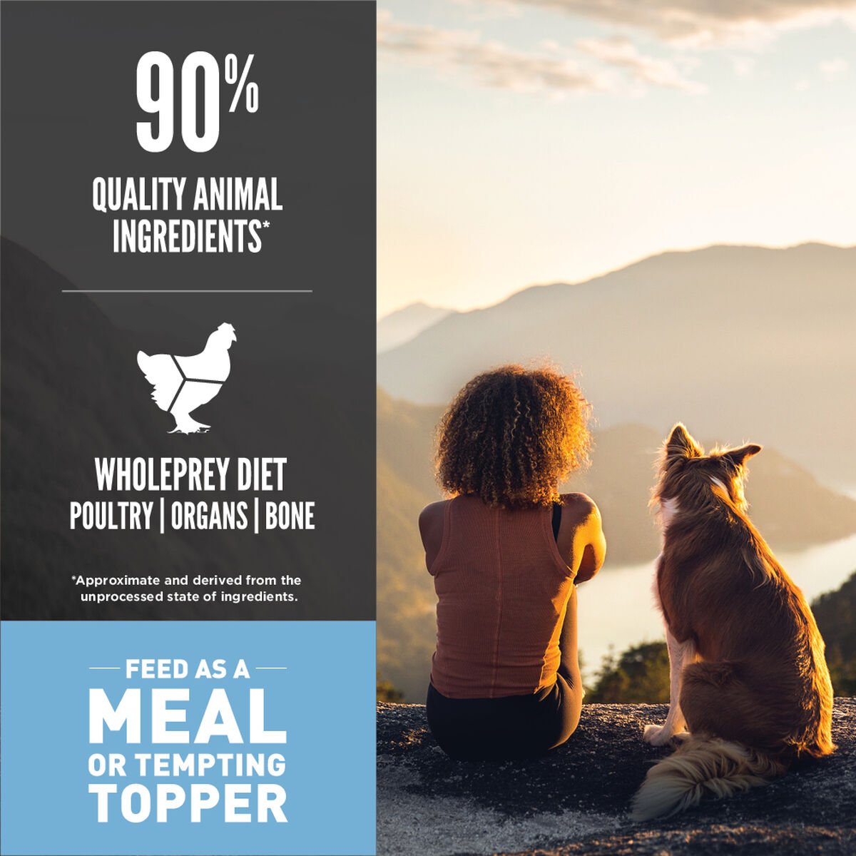 6oz / 170g Orijen Original, Freeze-Dried Food Medallions Grain Free Freeze-Dried Dog Food | 520-RMJDLB